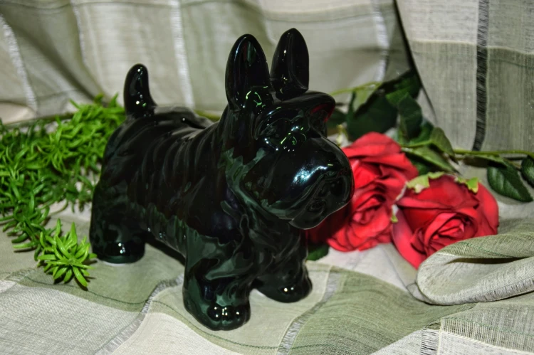 b4ebc8b1eed3bb8c52df469f2b239b7a