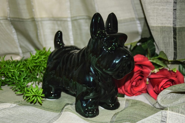 69425b1a6c5aa9edeeb8e88d08e42b34