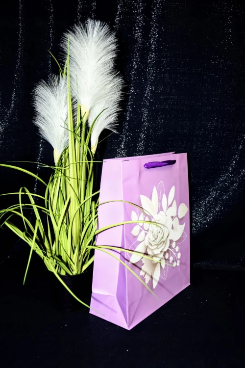 87f043d4819537b0518d8ef4a5f2dcbb