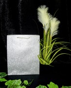 0731c31aa221b234051392e3b2f21987