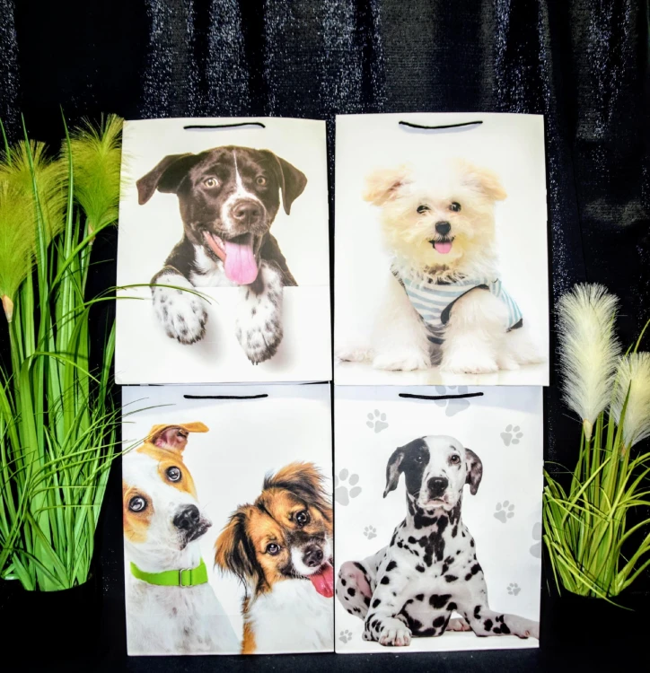 e3c23879cbb8ee74a48dc86174247094