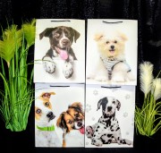 e254d4dc119b7aa08226eb0c75762f04