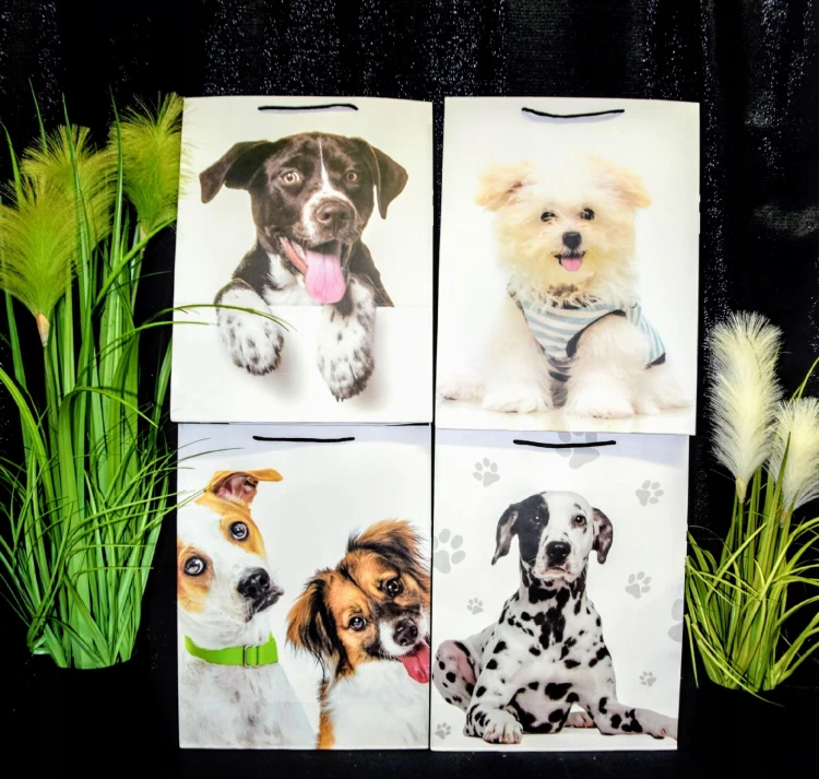 e254d4dc119b7aa08226eb0c75762f04