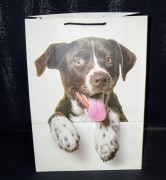 5b231d964ae13aedb31aa1d7968ad8d1