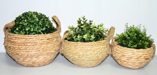 b62eb74e8ca437da77d226e3725266ab