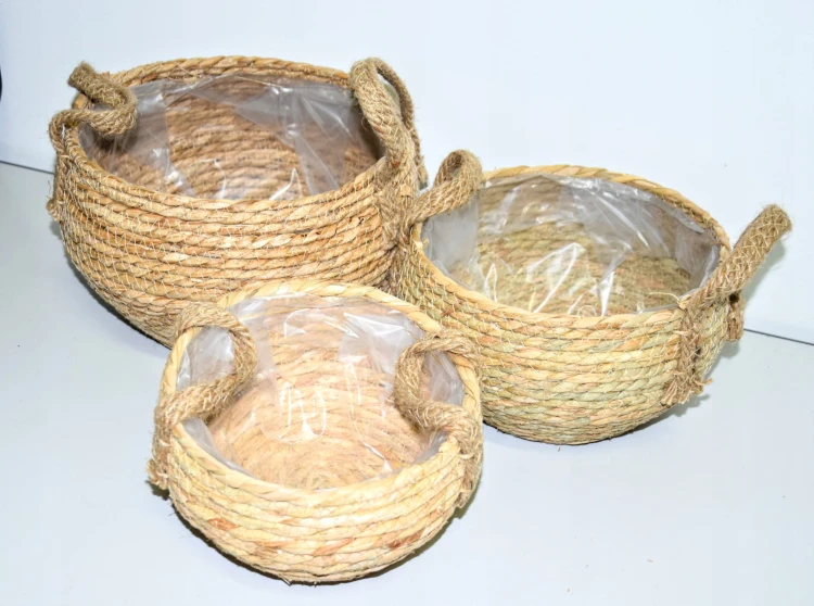 805b81450e691d7937f16eded6c303fd