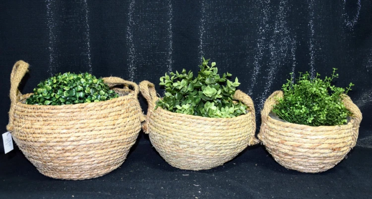 3c0a76a231d3ad989076bf8c32d20828