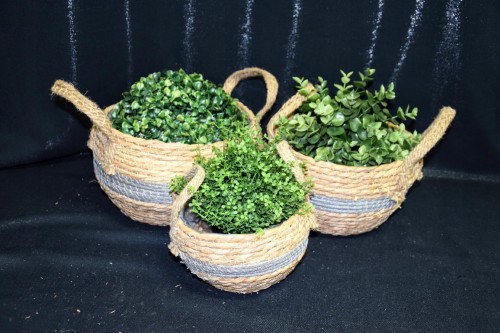 8cc4a40288716b888d1175076eaef851