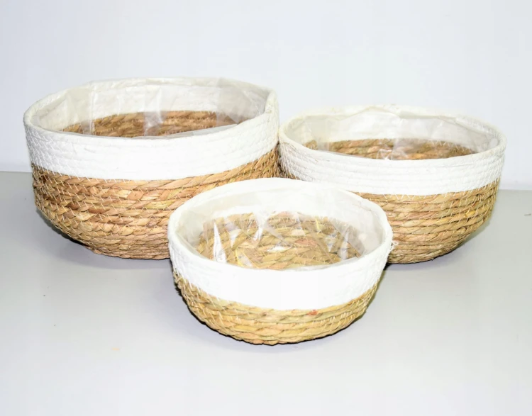 b17d805d814eb89ae95ed4aab66ebe26