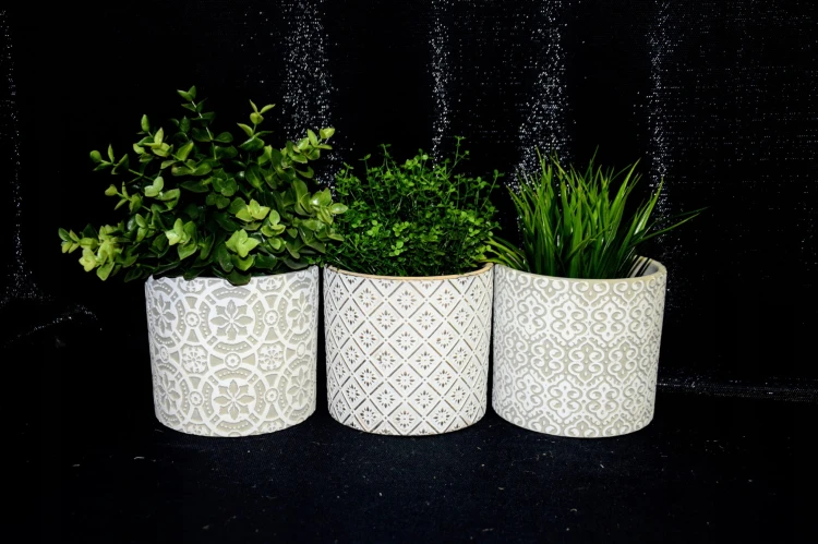 702e5c3497aebaeee9d57e4de1749305