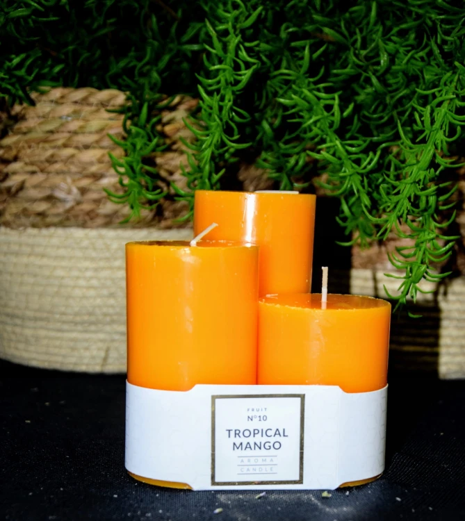 262c53075b7aea2677cac3adee0cb9ce