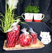 c45692fe046861444c357889bd089b9d