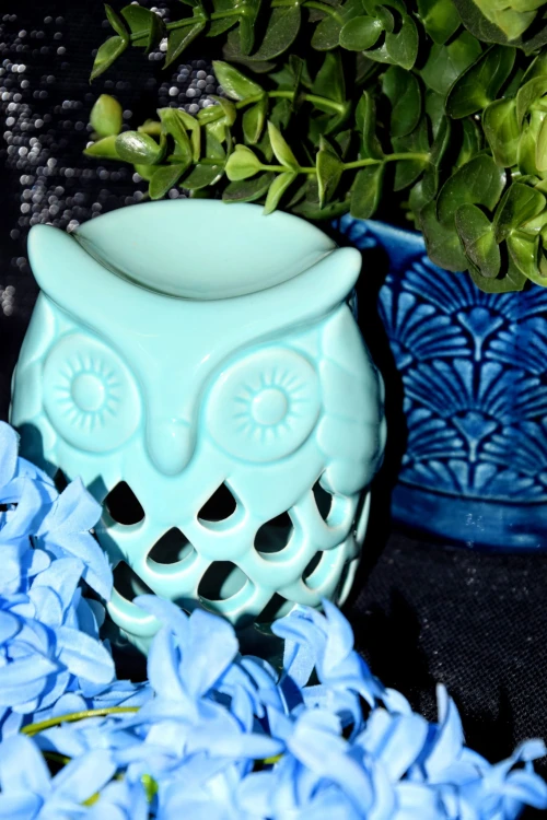 d8f24d147bd0b00edb55cf4b185984b1