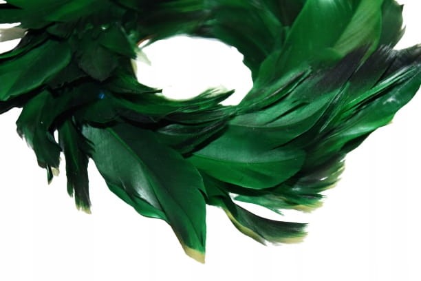 709c0cfb956067c48fcbbe0d6a7b0ee1