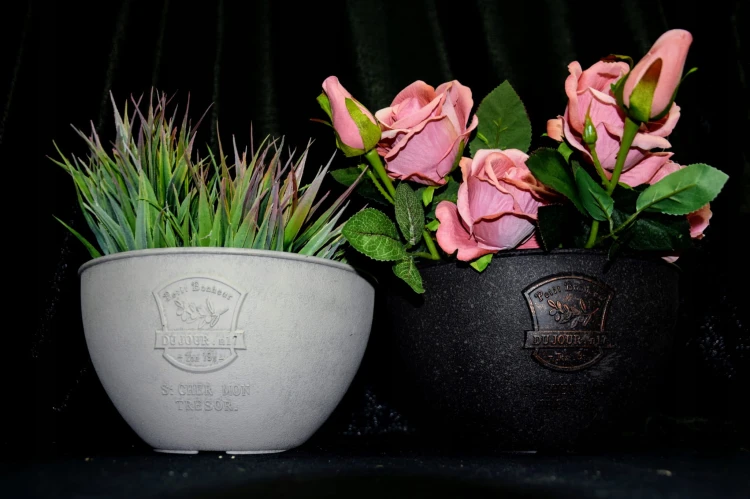 ae784211f972bae99aeefe31f4312ab6