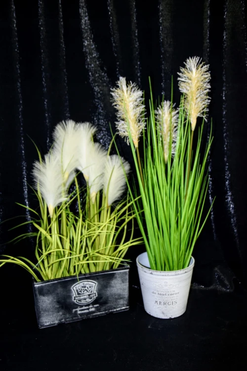 338f41b4822f490c41e8bbb3fd32ec9e