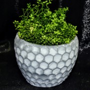 ba90c99b0707b6b2e4b39acd167fcb1f