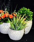 420b8e05a8a969256ebb9c40acc61bdd