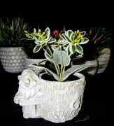 88f05ee7b894be9fee7c7c83b8743905