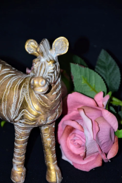 1a0b123568a4ed2b3ef8d14a84e29ac1