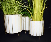 1d84703a2556877b42e5b0d41a12dfe0