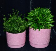 8f0adb1f7f1bf5b04c6a153400fc3c3d