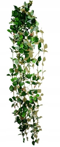 c05aadb0e349035de1ea2c2ba8a1b573