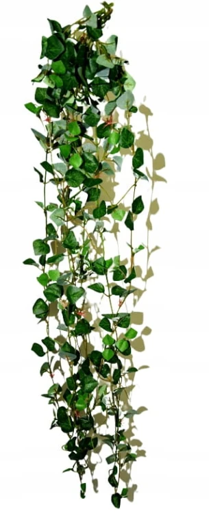 c05aadb0e349035de1ea2c2ba8a1b573