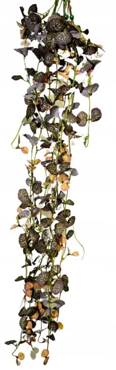 5683e16176fb0bfee692834016901890