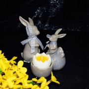 20cf1c6bebf8bca811a04ecf0bac529b