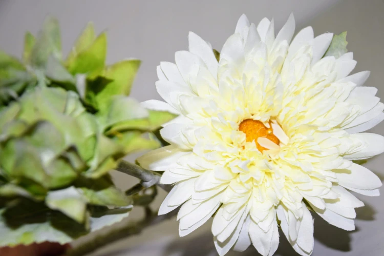 b5dcdb34bd231e054812353922276327