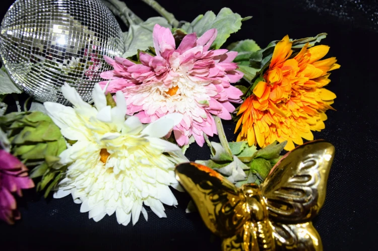 6eb0c09540ba97147fcf3ad9696744b3