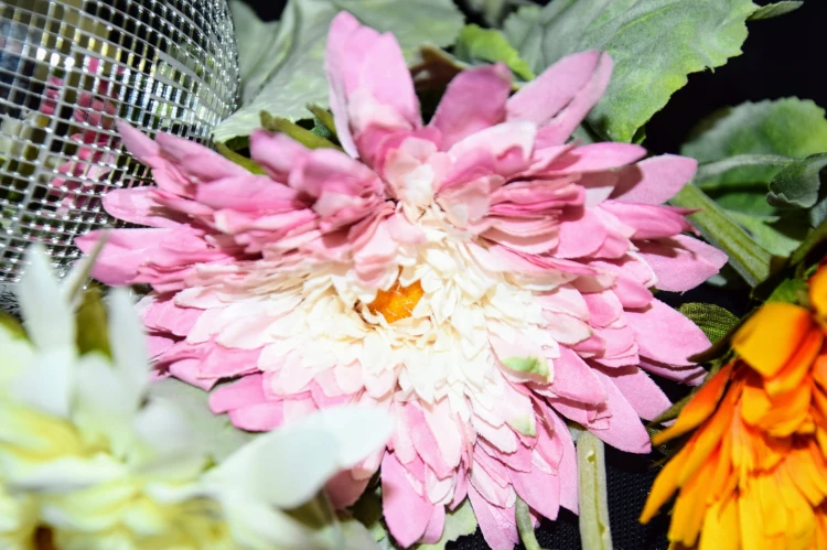 e71f4e1ff9479c39bc2149328fbcc2ef