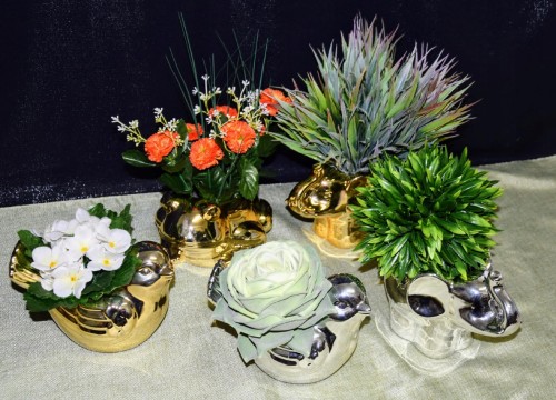 7d17a2210d156bacc1cb248b5821ffc6