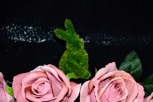 d92666fad948a69fc9091842c76ea42a