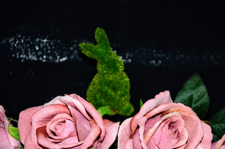 d92666fad948a69fc9091842c76ea42a