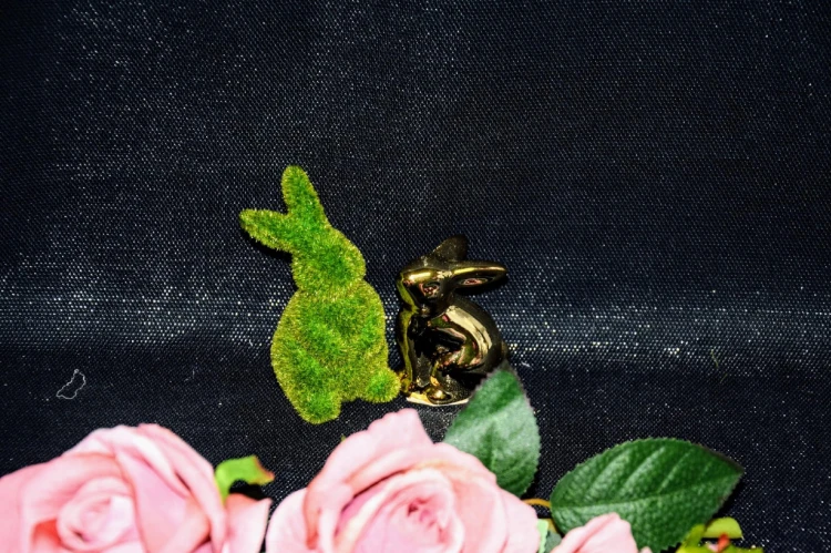 cc68abfa43981cd0cbd041fd1160935c