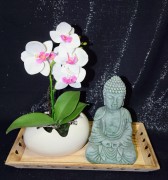 21e73d78136947285fcb837af57e9e8a