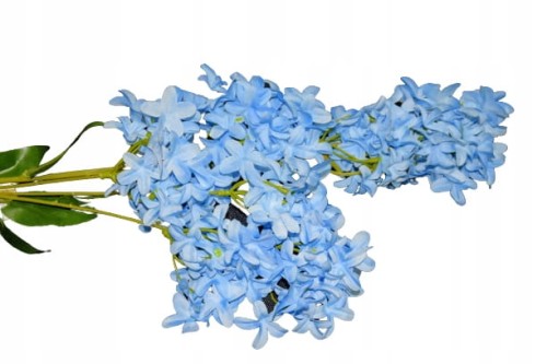 b35e8e081fad37fde18233334a84a8b6