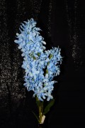 462dfab6182d5fa407220e7d5782eddb