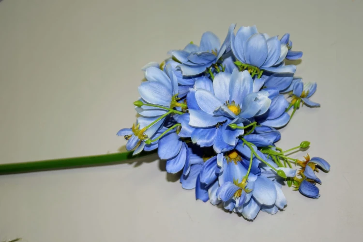 bcc17bfc56c6b565e90f5e4b5ec38414