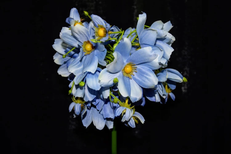 02e522c3b46e4dcb9e38c4770d1c44f0