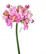 7d08e46811174270a7bbc40985172d41