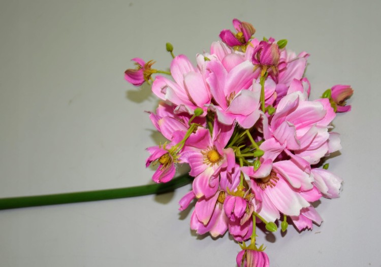 fd8917ee561778749909326fdaa05893