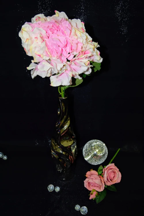 363f6d1c283f333c448de00366663ce3