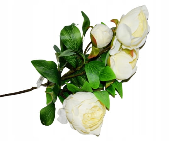 fedbe80fb1bc26a695bede1453b4c9cc