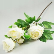 b3997eb2d0ea5a25270ebf48322bcacc