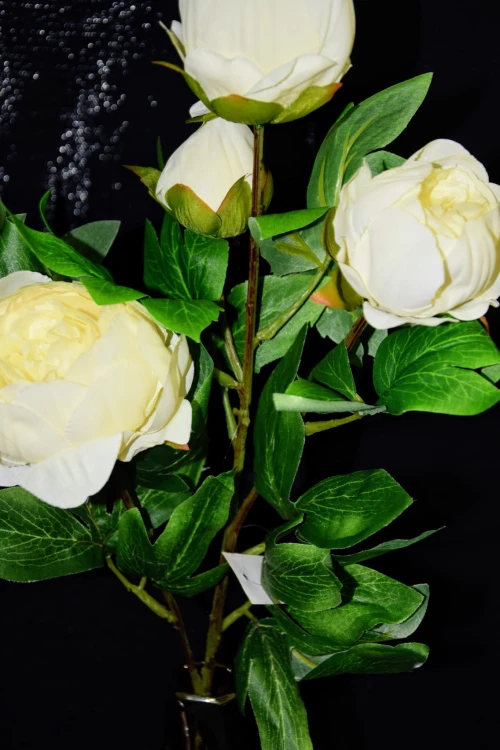 6e1975f9591a0499a922388133d74305