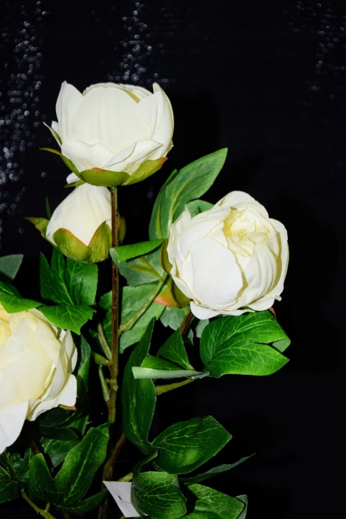 89bc2639a672bb9a0f43be04cea94644