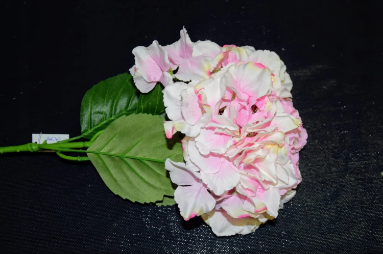 6d92c2d8a6512515c3319247487fd4f1